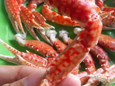 MUA CÀNG GHẸ TƯƠI Ở ĐÂU SẠCH VÀ AN TOÀN?